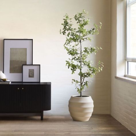 18 Fake Plants That Totally Transform Any Room Black Olive Tree, West Elm Kids, Fake Trees, Shower Columns, Floor Plants, Faux Tree, Tall Plants, Iron Wire, Light And Space