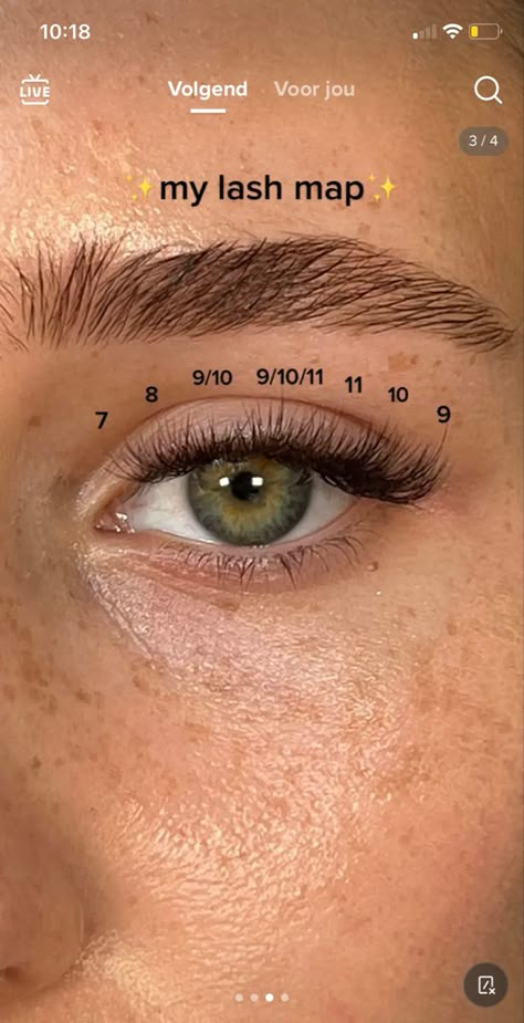 Natural Lashes Extensions Map, Lash Mapping Eyelash Extensions Classic Natural, Very Natural Looking Lash Extensions, Lash Map For Droopy Eyes, Falscara Lashes Map, Most Natural Lash Extensions, Lash Individuals Map, Natural Eyelash Extensions Map, Natural Set Lash Extensions