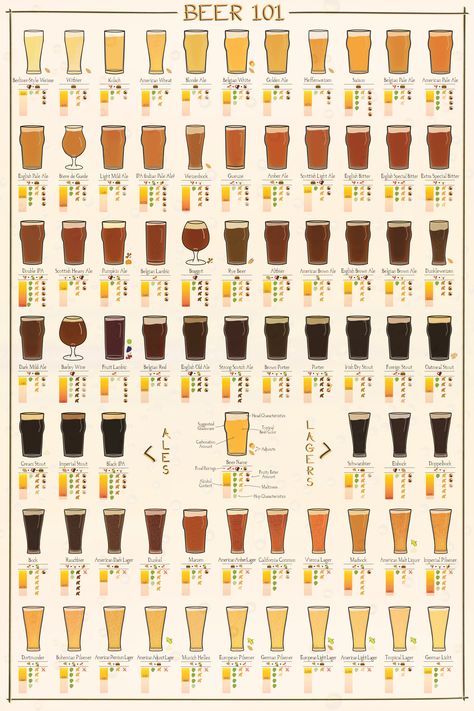 Beer Calories, Beer Facts, Beer Guide, Types Of Beer, Beer 101, Beer Poster, All Beer, Beer Tasting, Beer Recipes