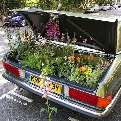 bunches of plants in a vintage cars trunk!! 귀여운 음식 그림, Have Inspiration, Sanskrit, Cool Stuff, Shade Garden, My Flower, Belle Photo, Pretty Flowers, Pretty Pictures