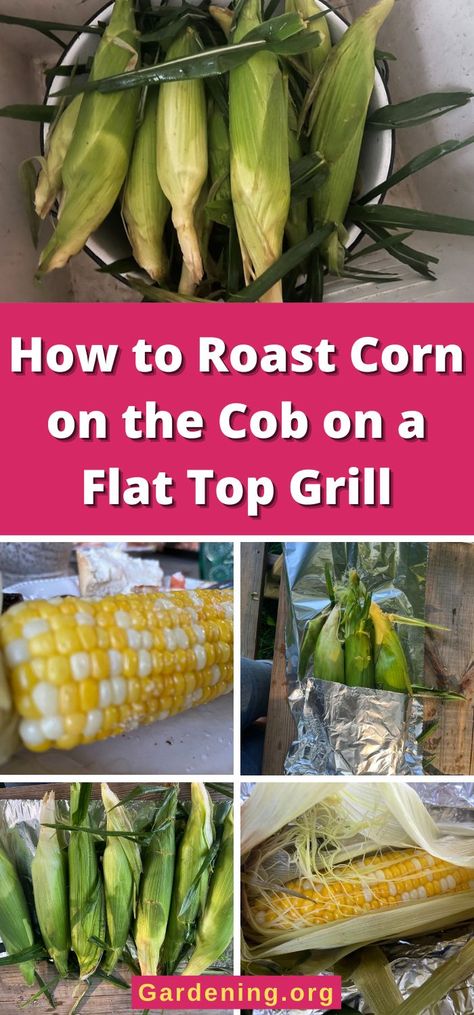 Corn On Flat Top Grill, Black Stone Corn On The Cob, Corn On The Blackstone Griddle, Corn On The Cob Blackstone Griddle, Baking On A Blackstone Griddle, Griddle Corn On The Cob, Blackstone Corn On The Cob, Blackstone Cleaning, How To Roast Corn