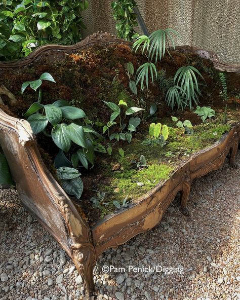 Dark Fern Creations, Mossy Furniture, Ecogoth Aesthetic, Goth Greenhouse, Swampcore Aesthetic, Goth Garden Aesthetic, Fae Trap, Earth Goth, Maximalist Garden