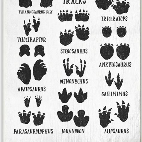 I saw the same track print, that's tattooed on the side of my foot, at the gym. Interesting. It was little on the ground, but there it was. Like a dinosaur print, in the first photo, that's it, in the tan. What are the chances, I'd see that?, And have that tattoo already, highly unlikely. T-rex Art, Dino Tracks, Dinosaur Tracks, Dinosaur Drawing, Tyrannosaurus Rex, Stupell Industries, Art Kids, At The Gym, Dinosaur Print