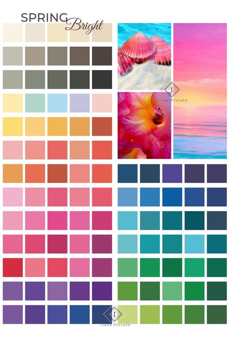 Bright Summer Colour Palette, Bright Spring Purple, Clear Bright Spring, Clear Spring Palette, True Spring Color Palette, Warm Spring Color Palette, True Spring Colors, Soft Summer Palette, Spring Bright