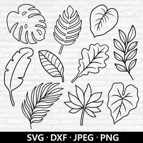 Tropical Leafs Drawings, Leaf Monstera Drawing, Palm Leaves Outline, Drawing Palm Leaves, Different Leaves Drawings, Nature Elements Drawing, Monstera Leaf Design, How To Draw Monstera Leaf, Leaves Design Drawing