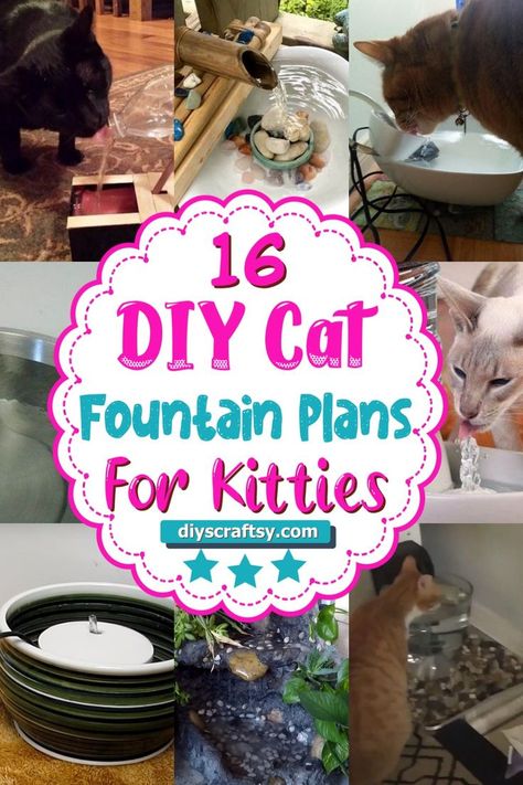 DIY Cat Fountain Plans Diy Cat Drinking Fountain, Dog Fountain Outdoor Diy, Cat Fountain Drinking Water, Diy Cat Fountain How To Make, Diy Pet Water Fountain, Diy Pet Fountain, Diy Cat Fountain, Diy Cat Water Fountain, Cat Drinking Fountain