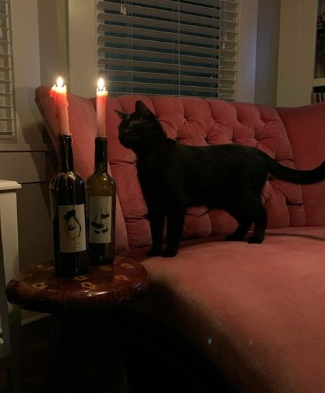 Terrence Loves You, Cherry Wine, Dark Feminine Aesthetic, Season Of The Witch, Witch Aesthetic, Feminine Aesthetic, Red Aesthetic, Divine Feminine, Dark Aesthetic