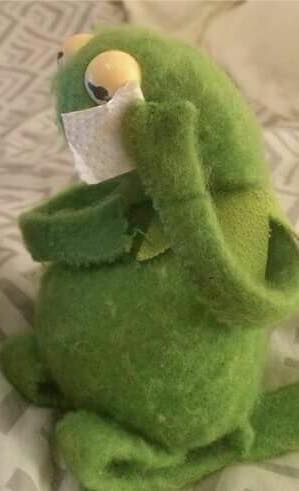 Sapo Kermit, Kermit Meme, Kermit Funny, Kermit The Frog, 웃긴 사진, Cute Memes, Love Memes, Wholesome Memes, Meme Faces