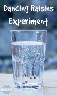 Dancing Raisins Experiment, Dancing Raisins, Vetenskapliga Experiment, Science Experience, 123 Homeschool 4 Me, Pre-k Science, Science Experiment For Kids, Science For Toddlers, Experiment For Kids