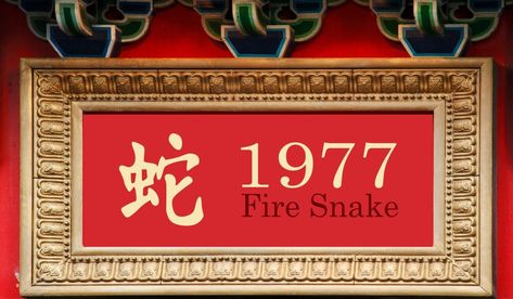 1977 Fire Snake Year Fire Snake Chinese Zodiac, Chinese New Year Dates, Fire Snake, 12 Chinese Zodiac Signs, Birthday Personality, Birthday Horoscope, Zodiac Signs Meaning, Zodiac Elements, Chinese Calendar