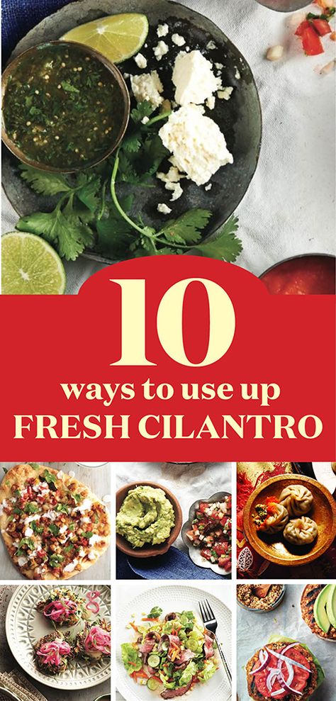 10 easy ways to use up fresh cilantro || If you love this earthy herb, you buy it by in big bunches like us. Here’s how to make the most of your cilantro while it’s fresh (and not let any go to waste). Recipes Using Cilantro Dinners, Ways To Use Cilantro, Recipes For Cilantro, Cooking With Cilantro, Things To Make With Cilantro, Recipes That Use Cilantro, What To Make With Cilantro, What To Do With Extra Cilantro, Meals With Cilantro