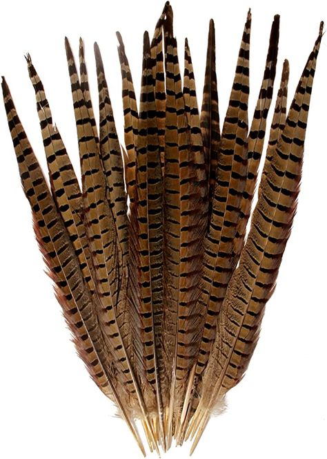 Amazon.com: 20pcs Pheasant Feather Natural Ringneck Tails Feathers 14-16inch 35-40cm for Crafts Home Wedding Party Performance DIY Decoration Pheasant Feather,Male Pheasant Feathers Pheasant Decor Ideas, Pheasant Feather Tattoo, Kali Core, Prada Fw24, Pheasant Feather Decor, Aztec Headdress, Hawk Feather, Common Pheasant, Junk Kouture