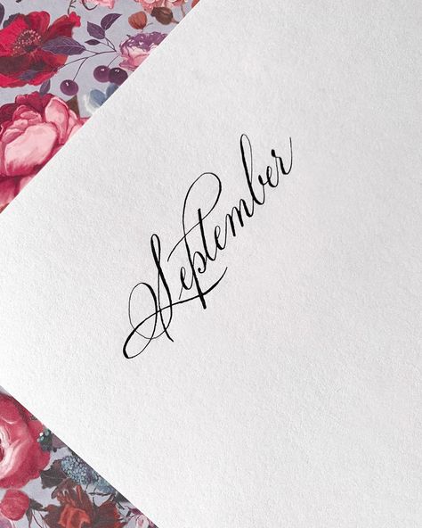 Svetlana Kostiukov on Instagram: “It’s September! And that means summer is coming to an end and fall will be here before we know it. It’s still in the 90’s here in…” Months In Calligraphy, September Calligraphy, September Lettering, Autumn Calligraphy, Calligraphy S, Fall Calligraphy, Calligraphy Flourishing, Binding Book, September Autumn