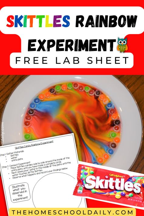 Rainbow Science Experiment For Kids, Rainbow Skittles Science Experiment, Skittle Rainbow Experiment, Skittle Science Experiment, Skittles Experiment For Kids, Rainbow Experiments For Kids, Skittle Experiment, Rainbow Experiments, Skittles Rainbow Experiment