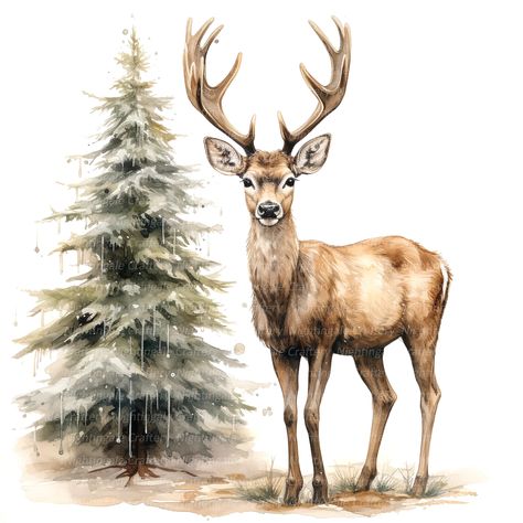 Christmas Hat Clipart, Santa Hat Clipart, Deer Clipart, Winter Clipart, Watercolor Drawing, Christmas Deer, Art Clipart, Christmas Clipart, Christmas Hat