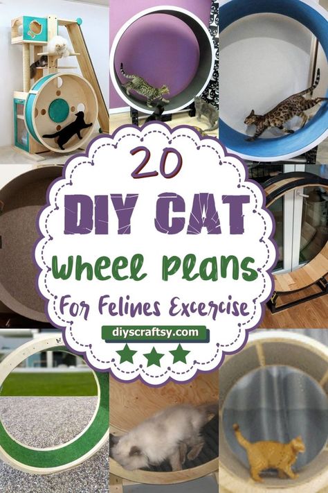 DIY Cat Wheel Plans Diy Cat Running Wheel, Diy Cat Stimulation, Interactive Cat Toys Diy, Diy Cat Wheel How To Build, Catified House, Cat Enrichment Ideas, Catification Ideas Diy, Catio Patio, Diy Cat Wheel