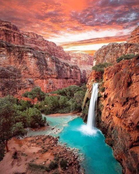 #havasu #falls #arizona #usa #travel Havasu Falls Arizona, Havasupai Falls, Havasu Falls, Mountain Travel, Arizona Travel, Fall Hiking, Destination Voyage, Vacation Places, Pretty Places