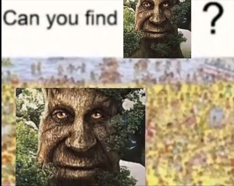 The Wise Tree, Wise Mystical Tree, Wise Tree, Tree Tree, Pinterest Memes, Meme Stickers, I Have No Friends, Oak Tree, Reaction Pictures