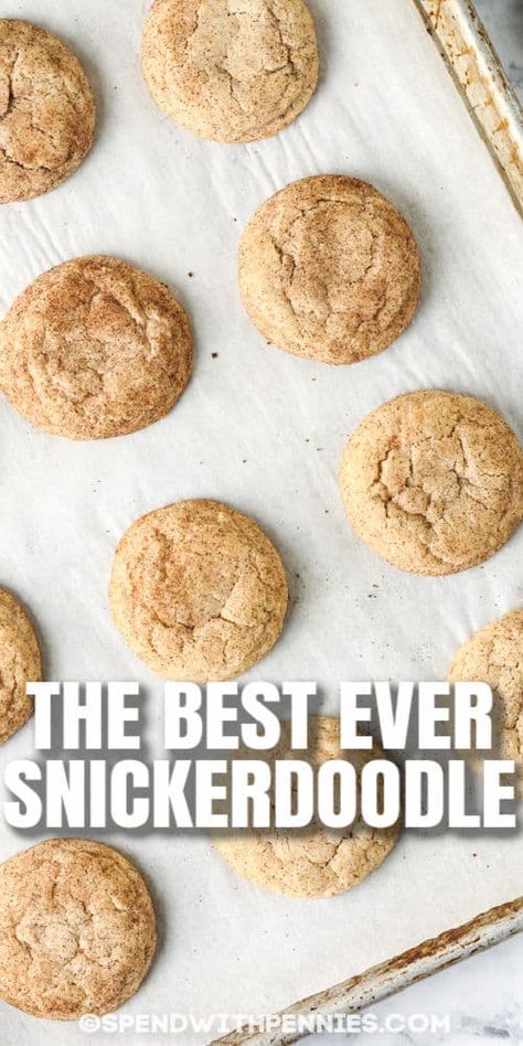 Snickerdoodles are a quick and easy cookie loaded with cinnamon sugar flavor. They are perfectly soft and chewy and make the perfect addition to any Christmas cookie tray! #spendwithpennies #christmascookie #cookierecipe #snickerdoodles #snickerdoodlerecipe #easysnickerdoodles #cookies #holidaycookies #easysnickerdoodles #bestsnickerdoodles #softandchewycookies Easy Snickerdoodle Recipe, Easy Snickerdoodles, Gluten Free Snickerdoodles, 31 Daily, Snickerdoodle Cookie, Saffron Threads, Snickerdoodle Recipe, Snickerdoodle Cookies, Snickerdoodle Cookie Recipes