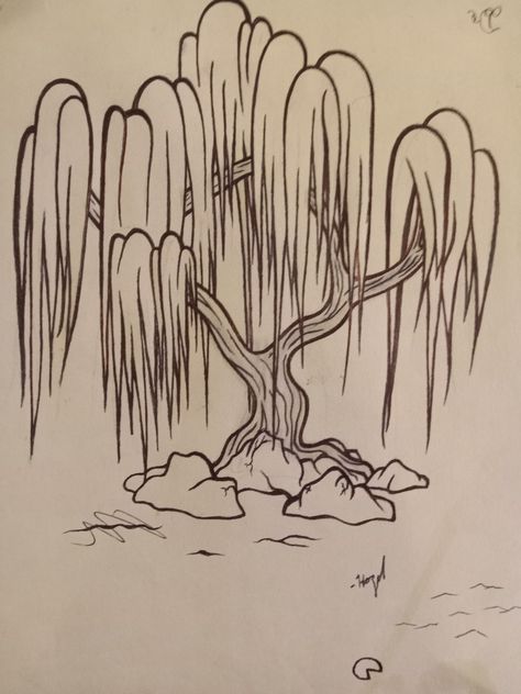 Draw Weeping Willow Tree, Weeping Willows Drawing, Weeping Tree Drawing, Tree With Vines Drawing, Easy Weeping Willow Drawing, Spiritual Tree Drawing, Willow Tree Line Drawing, Drawing Of Willow Tree, Simple Willow Tree Drawing