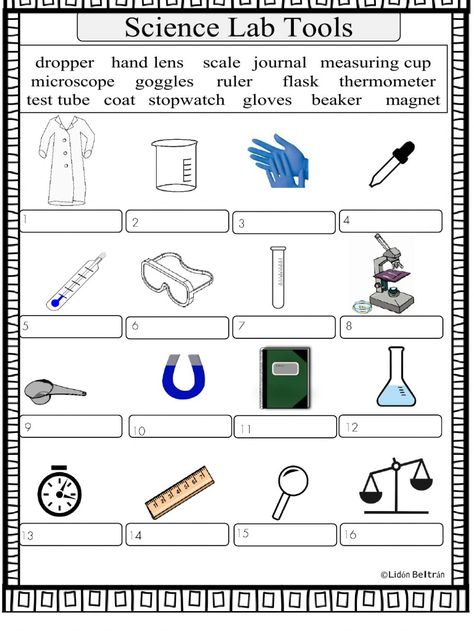 What Is Science Worksheet, Science Tools Worksheet, 6th Grade Science Worksheets, Science Kindergarten Worksheets, Science Lab Tools, Homeschooling Science, Free Science Worksheets, Ncert Books, Science Process Skills