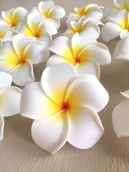 Frangipani / Plumeria Flower Hair Clip – Pinknique LLC Useful Packaging, Hawaii Flowers, Hawaiian Plumeria, Polymer Clay Flower Jewelry, Paper Quilling Patterns, Plumeria Flowers, Pinterest Diy Crafts, Clip Hairstyles, Flower Hair Clip