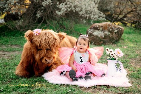 Highland Cow 1st Birthday Photo Shoot | Fort Worth Stockyards, Texas | Dawn Lopez Photography Photoshoot With Highland Cows, Cow Birthday Photoshoot, Mini Cow Photoshoot, 1st Year Photoshoot Ideas, Highland Cow First Birthday Girl, Highland Cow 1st Birthday Girl, Highland Cow Photoshoot, Highland Cow 1st Birthday, Baby 1st Birthday Photoshoot