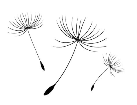 Three Dandelion Tattoo, Simple Dandelion Tattoo, Dandelion Cosplay, Black Silhouette Art Ideas, Dandelion Seed Tattoo, Dandilines Flower Tattoo, Small Dandelion Tattoo, Blow Dandelion, Blowing Dandelion Tattoo