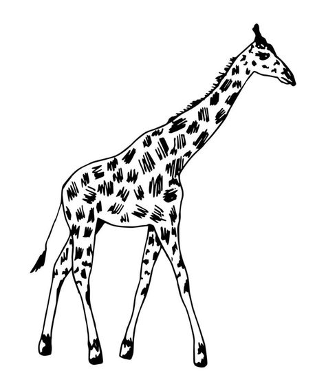 Hand-drawn vector illustration with black outline. Full length giraffe, spotted skin, side view isolated on a white background. Wild animals africa, nature, zoo. Safari, savannah. Safari Drawing, Giraffe Outline, Animals Outline, Animals Africa, Africa Nature, Side View Drawing, Animal Outline, Outline Drawing, Tattoo Outline