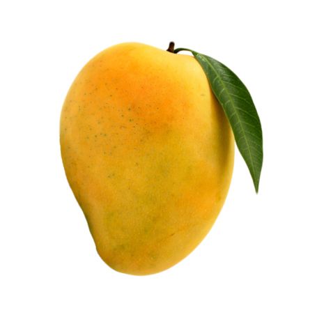 National Fruit Mango, Mango Picture, Mango Tattoo, Mango Png, Mango Photography, Mango Fruta, Mango Photo, Mango Images, Benefits Of Mango