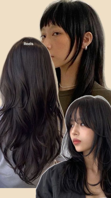 Baby Bangs, Layered Hair, Bangs, Hair Cuts, Collage, Hair Styles, Hair