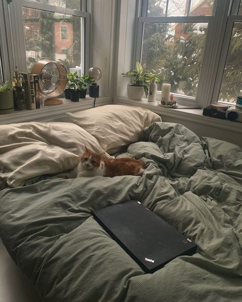 Modern Bedroom Earth Tones, Cozy Bed Green, English Cottage Aesthetic Bedroom, Industrial Loft Bedroom Ideas, Green Bed Astethic, Comfy Vibes Bedroom, Cool Bed Pillows, Comfy Green Bedroom, Bed Inspo Cozy