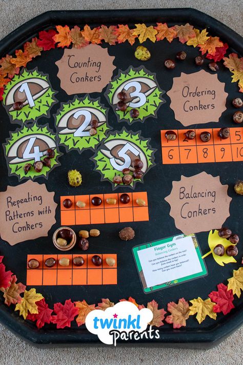 Looking for educational ways to use conkers? This conker maths tuff tray is a great way to get your child excited about fall whilst helping them develop their numeracy skills. Follow the link to download our conker activities EYFS finger gym plan and try out your own tuff tray today! Harvest Ks1 Activities, Autumn Ideas Preschool, Autumn Counting Activities Eyfs, Conkers Tuff Tray, Autumn Activities Nursery, Conkers Activity Eyfs, Conker Play Ideas, Continuous Provision Year 1 Autumn, Autumn Year 1 Activities