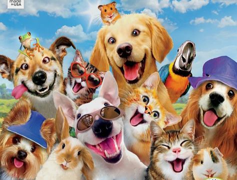 Jigsaw Puzzles For Kids, Best Selfies, 500 Piece Jigsaw Puzzles, Dog Crafts, Smiling Dogs, Group Photo, Dogs And Cats, Cutie Pie, Happy Dogs