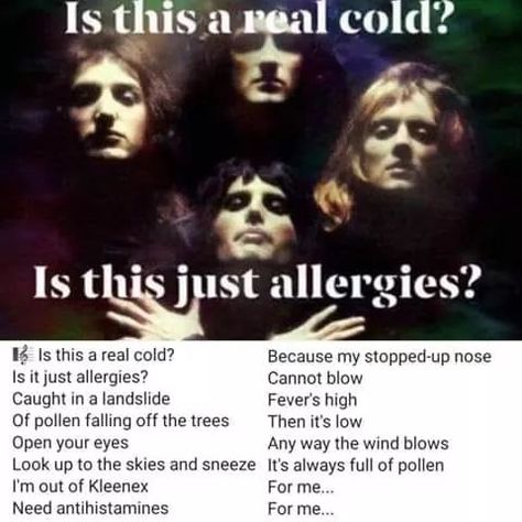 Allergies Funny, Misheard Lyrics, Funny As Hell, Music Humor, Bones Funny, Popular Memes, The Words, Funny Cute, Really Funny