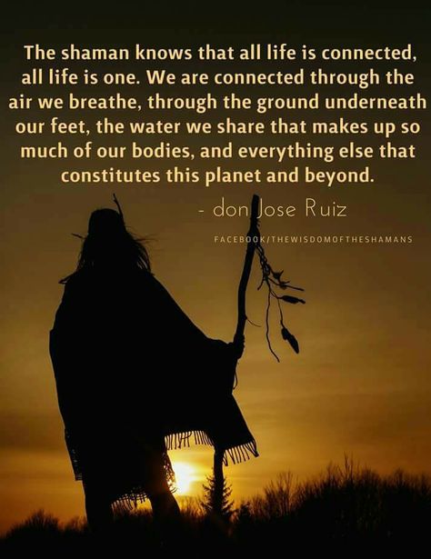 The Wisdom of the Shamans, What the Ancient Masters can Teach Us about Love and Life, a new book by Don Jose Ruiz and Hierophant Publishing . Download a FREE EXCERPT here:   http://www.hierophantpublishing.com/the-wisdom-of-the-shamans/ Native Quotes, American Indian Quotes, Shaman Woman, Don Jose, Native American Spirituality, American Quotes, Native American Wisdom, Shamanic Journey, The Oregon Trail