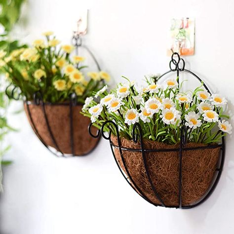 Wall Planters Outdoor, Wire Plant, Metal Wall Planters, Hanging Wall Planters, Wall Mounted Planters, Metal Hanging Planters, Coco Coir, Planter Basket, Support Plante