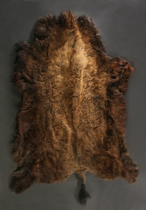 Beaver Pelt, Petroglyphs Art, Animal Taxidermy, African Buffalo, Wet Specimen, Hunting Tools, Bison Leather, Animal Hide, Leather Armor