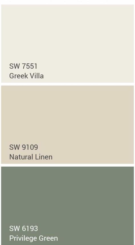 Paint Wall Colors Living Room, Sage Accent Colors, Cream And Green Paint Colors, Green And Cream House Exterior, Green And Cream Office, Beige Living Room With Green Accents, Green And Beige Paint Colors, Sage Cream Color Palette, Khaki Painted Walls