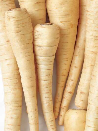 Parsnip Recipes, Mashed Parsnips, Parsnip Fries, Parsnip Puree, Parsnip Soup, Roasted Parsnips, Produce Recipes, In Season Produce, Squash Recipes