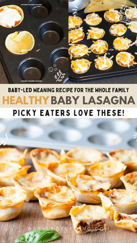 This easy baby lasagna is packed with the goodness of vegetables. It is nourishing, comforting and delicious for the picky eater kids. Also this lasagna works wonderfully for your little toddler who is starting to try more “grown up” food like veggies (and not only pureed baby food!). Creative Toddler Meals, Toddler Freezer Food, Toddler Wraps Lunch, Low Carb Toddler Meals, Make Ahead Toddler Lunches, Healthy Family Meals Picky Eaters, Toddlers Food Ideas, Freezer Meals For Toddlers, Healthy Picky Eater Meals