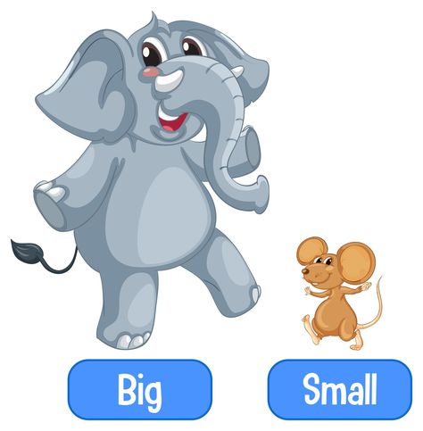 Big Small Flashcards, Big And Small Flashcards, Small Clipart, Adjectives For Kids, Opposites For Kids, Taal Posters, Big Illustration, Common Adjectives, List Of Adjectives