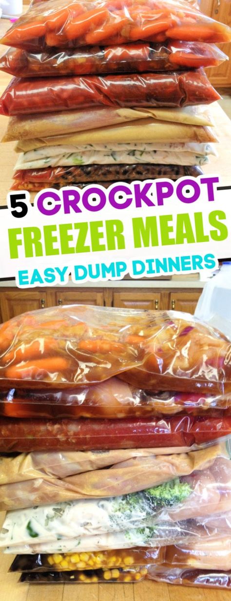 Crockpot Family Meals, Family Meals Crockpot, Freezer Bag Meals, Freezer Meal Party, Crockpot Freezer Meals, Freezable Meals, Freezer Meal Planning, Make Ahead Freezer Meals, Dump Dinners