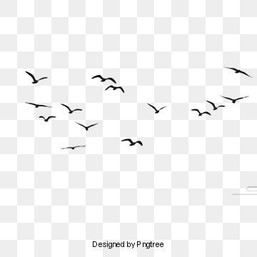 Peacock Vector, Birds Png, Flying Bird Silhouette, Birds Clipart, Bird Png, Bird Flying, Logo Design Free Templates, फोटोग्राफी 101, Bird Migration