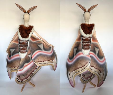 Moth Wing Cape, Cape Fantasy, Moth Costume, Sun And Moon Costume, Wing Cape, Fantasy Wings, Atlas Moth, Moth Wings, Custom Costumes