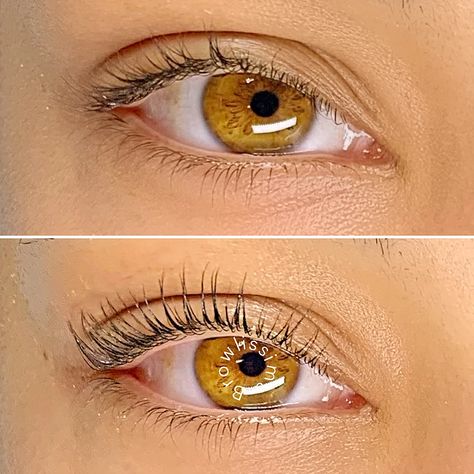 Golden Amber Eyes Aesthetic, Amber Eyes Aesthetic, Honey Eyes Color, Amber Eyes Color, Lash Lift Training, Honey Eyes, Beautiful Eyes Color, Amber Eyes, Makeup Accesories