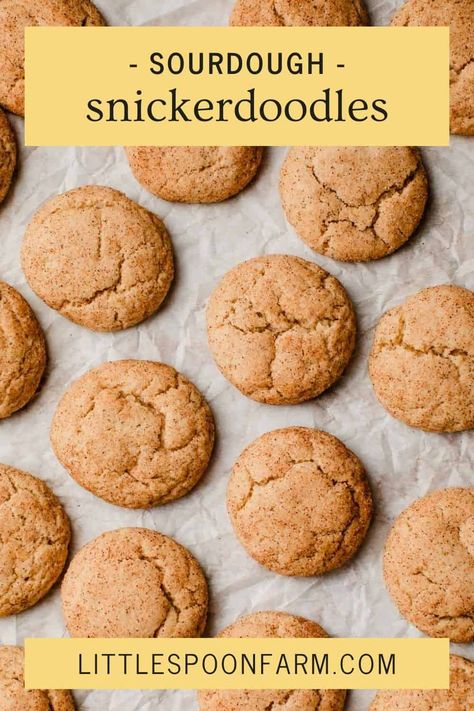 Cookies Sourdough, Cinnamon Bake, Snickerdoodle Cookie Recipe, Soft Chewy Cookies, Recipe Using Sourdough Starter, Snickerdoodle Cookie, Sourdough Starter Discard Recipe, Discard Recipes, Snickerdoodle Recipe