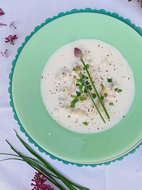 Creamy Chive Dumpling Soup Spring Soups, Dumpling Soup, Roasted Tomato Sauce, Roasted Tomato Soup, Dumplings For Soup, Starting A Vegetable Garden, Dough Ingredients, Fresh Chives, Roasted Tomatoes