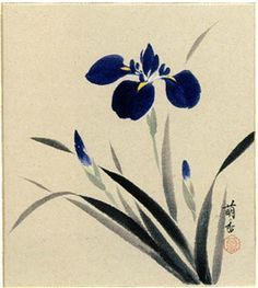 1000+ ideas about Chinese Painting Flowers on Pinterest | Chinese ... Chinese Painting Flowers, Iris Painting, Sumi E Painting, Japanese Watercolor, Chinese Art Painting, Chinese Brush Painting, Chinese Brush, Asian Painting, Japon Illustration