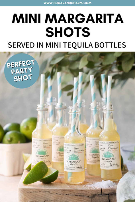 Looking for a fun party idea this summer?  Try these mini margarita shots! Such a cute party idea. Serve them in mini tequila bottles filled with a delicious blend of tequila, lime juice, orange juice, and agave. Tequila Tasting Party Ideas, Mini Tequila Bottles, Tacos And Tequila Party, Margarita Shots, Shots Of Tequila, Birthday Cake Shots, Shot Party, Sparkling Margarita, Raspberry Margarita